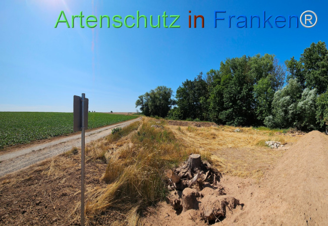 Bild zum Eintrag (1146340-160)