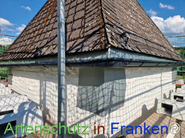 Bild zum Eintrag (1147211-160)