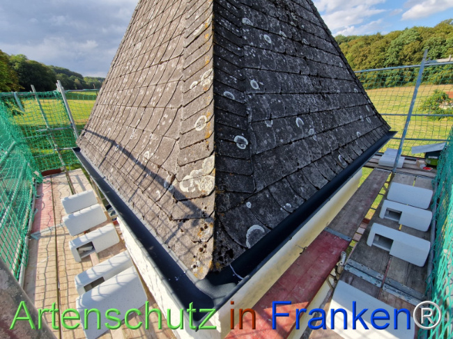 Bild zum Eintrag (1147213-160)