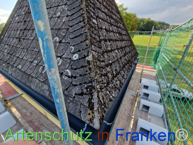Bild zum Eintrag (1147214-160)