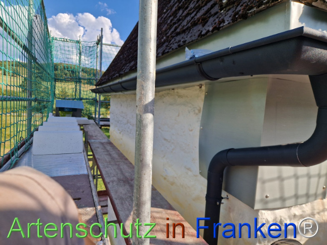 Bild zum Eintrag (1147215-160)