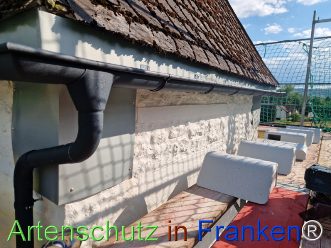 Bild zum Eintrag (1147216-160)