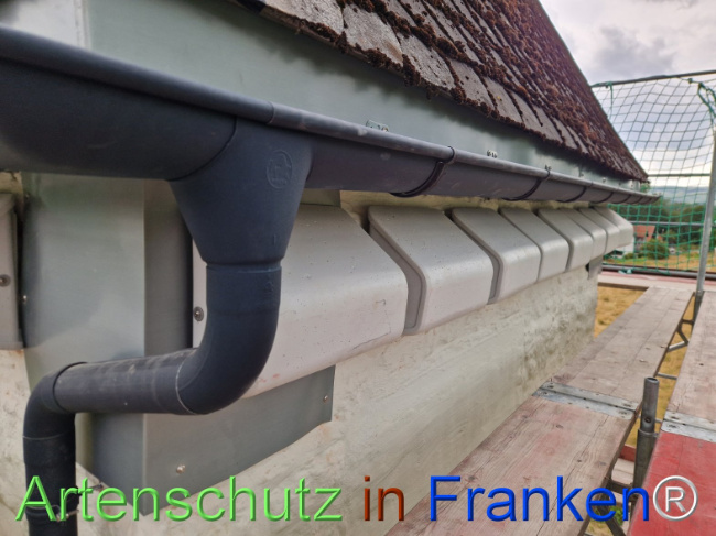 Bild zum Eintrag (1147223-160)