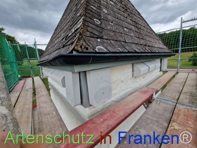 Bild zum Eintrag (1147226-160)