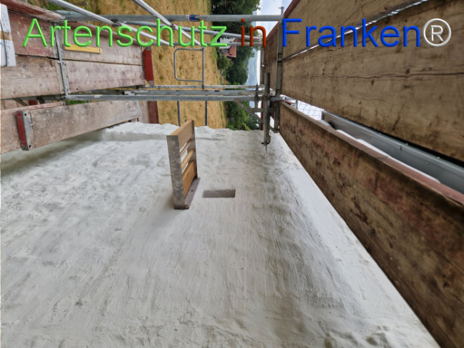 Bild zum Eintrag (1147227-160)