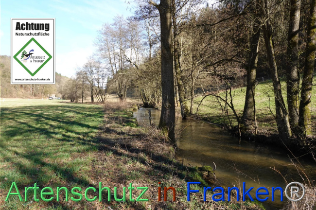Bild zum Eintrag (1147556-160)