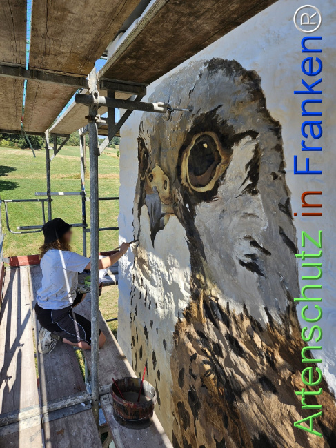 Bild zum Eintrag (1147778-160)