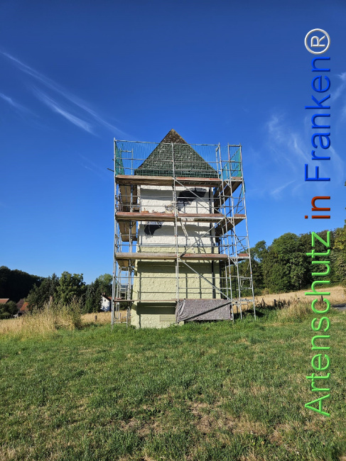 Bild zum Eintrag (1147779-160)