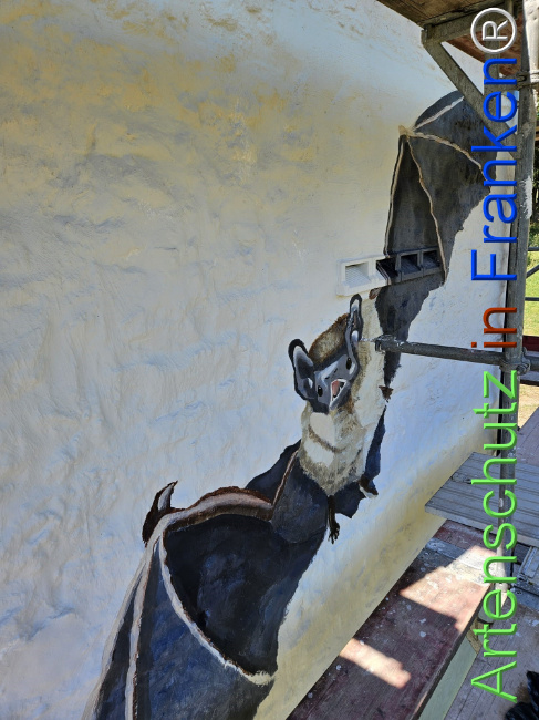 Bild zum Eintrag (1147780-160)