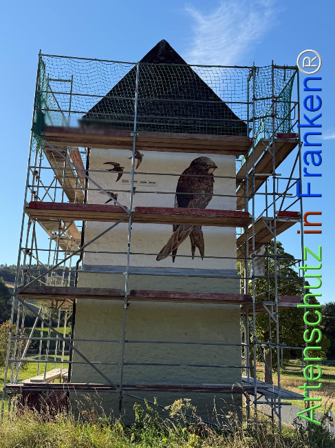 Bild zum Eintrag (1147782-160)