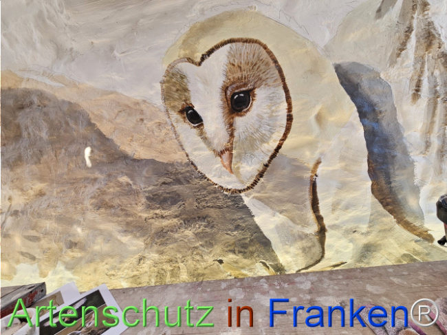 Bild zum Eintrag (1147783-160)