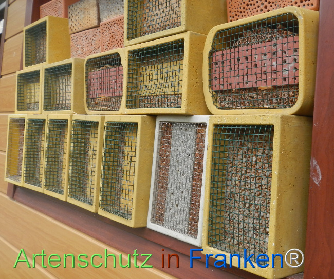 Bild zum Eintrag (1148096-160)