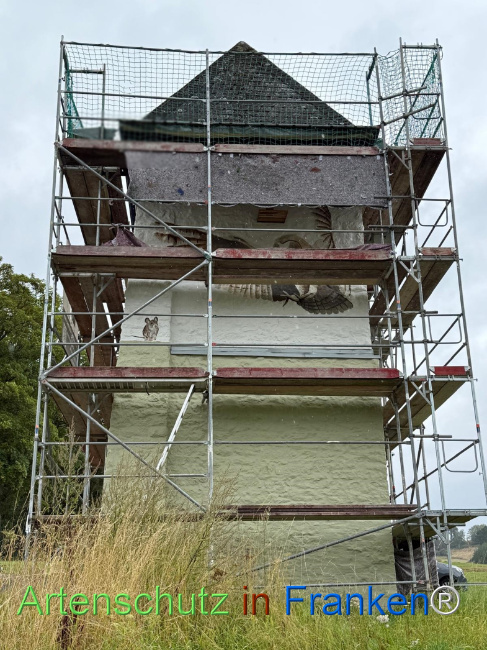 Bild zum Eintrag (1148135-160)