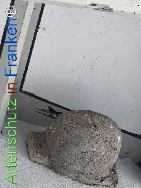 Bild zum Eintrag (1148180-160)