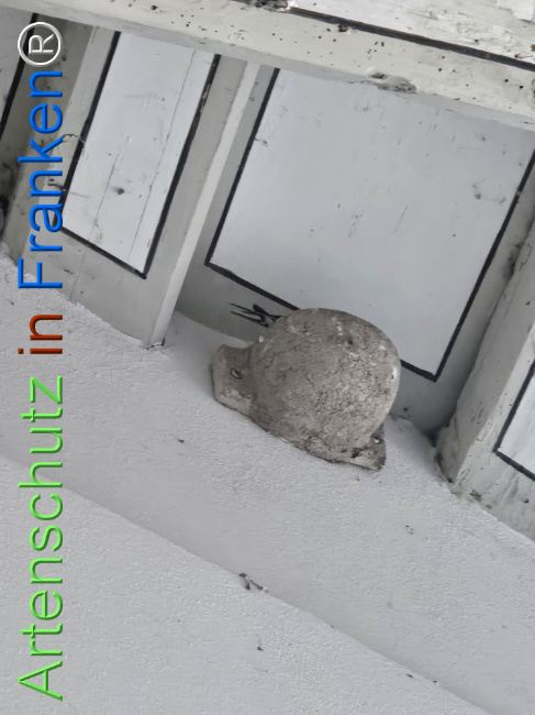 Bild zum Eintrag (1148181-160)