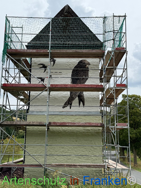 Bild zum Eintrag (1148229-160)