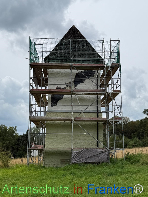 Bild zum Eintrag (1148230-160)