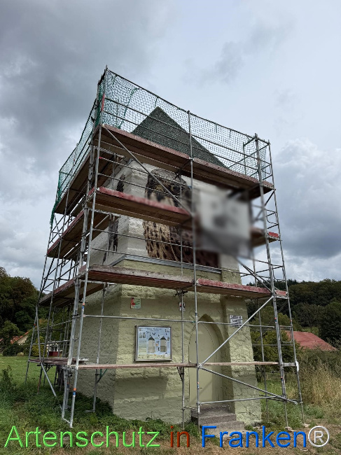 Bild zum Eintrag (1148231-160)