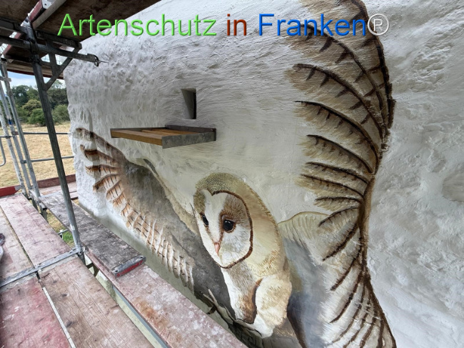 Bild zum Eintrag (1148232-160)