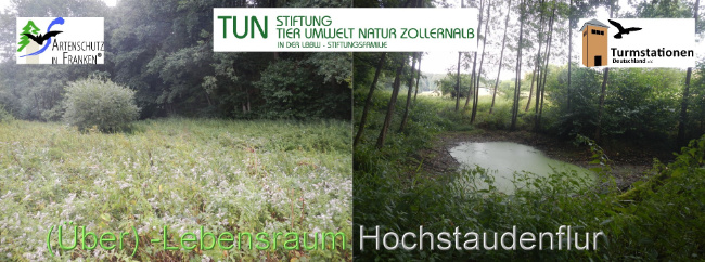 Bild zum Eintrag (1148423-160)