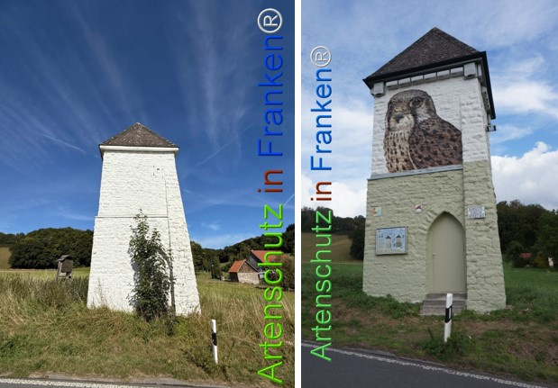 Bild zum Eintrag (1149106-160)