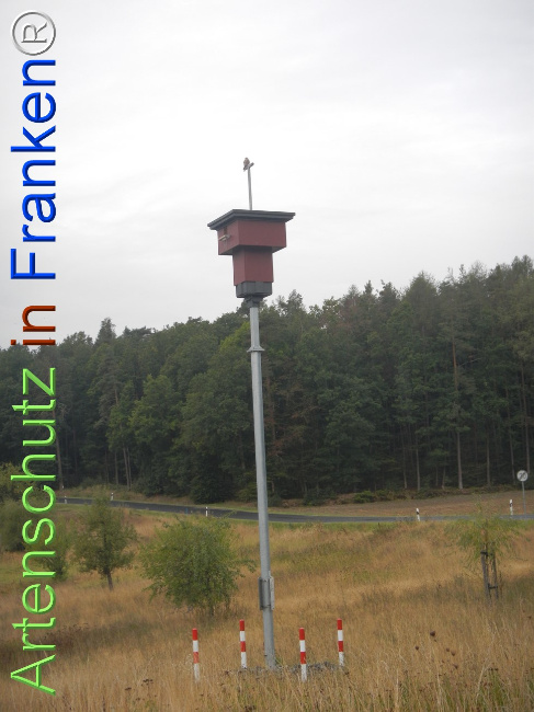 Bild zum Eintrag (1149399-160)