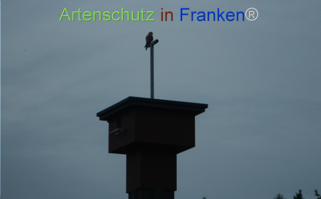 Bild zum Eintrag (1149403-160)