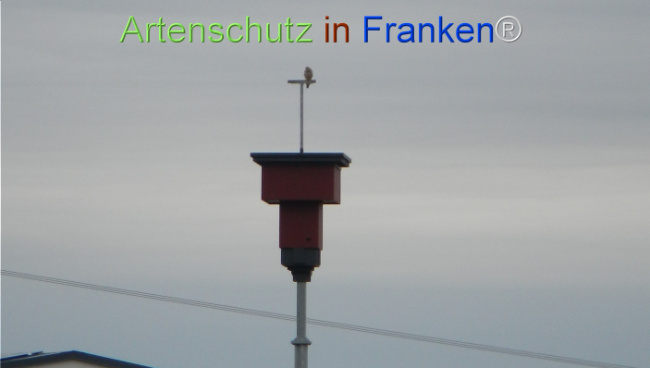 Bild zum Eintrag (1149404-160)