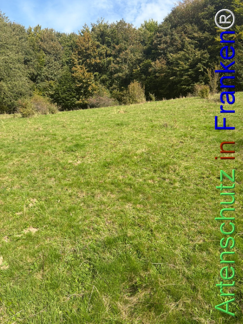 Bild zum Eintrag (1150079-160)