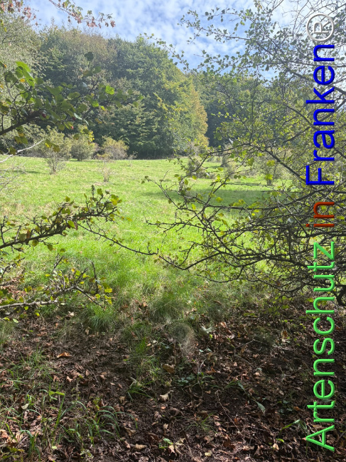 Bild zum Eintrag (1150081-160)