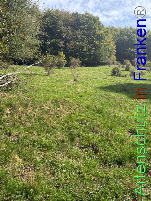 Bild zum Eintrag (1150082-160)