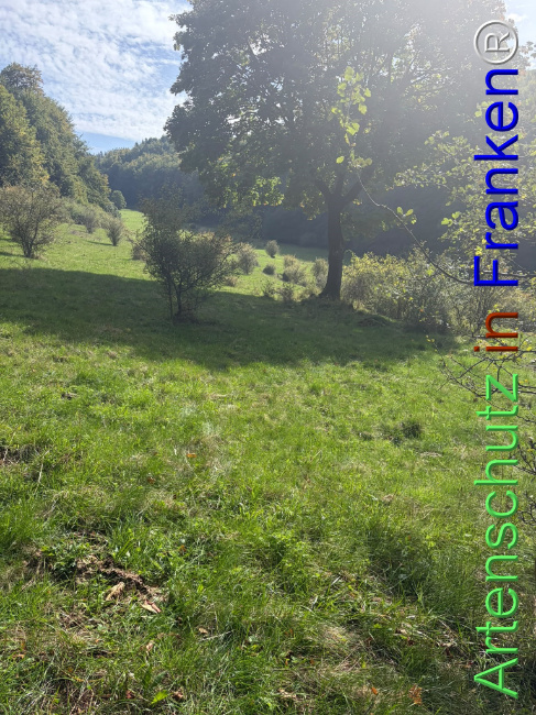 Bild zum Eintrag (1150083-160)
