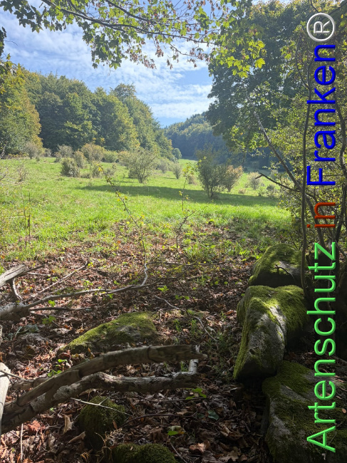 Bild zum Eintrag (1150085-160)