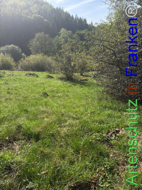 Bild zum Eintrag (1150091-160)