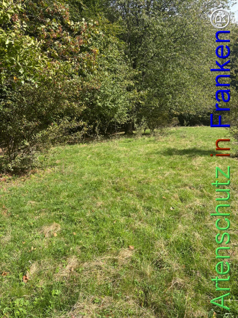 Bild zum Eintrag (1150093-160)