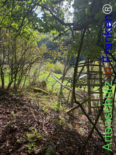 Bild zum Eintrag (1150096-160)