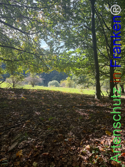 Bild zum Eintrag (1150099-160)