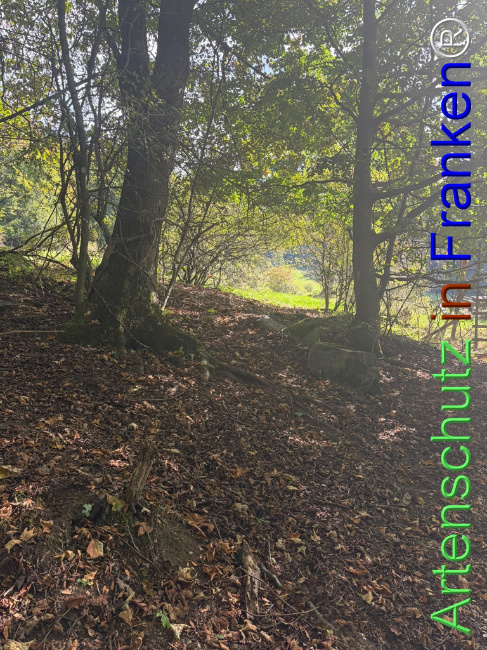 Bild zum Eintrag (1150137-160)