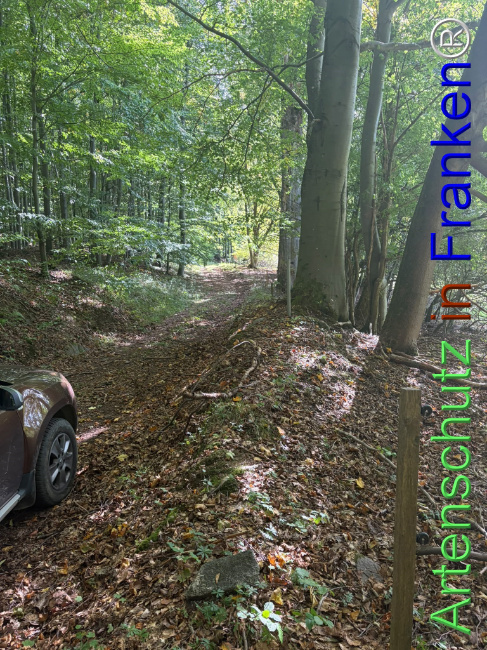 Bild zum Eintrag (1150140-160)