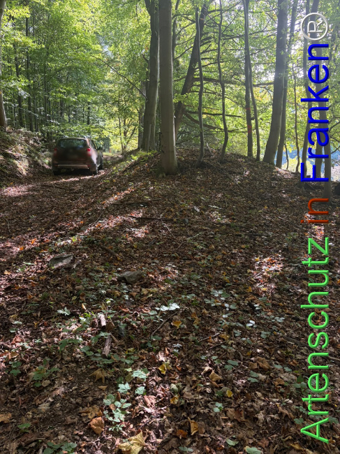 Bild zum Eintrag (1150146-160)