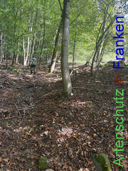 Bild zum Eintrag (1150149-160)