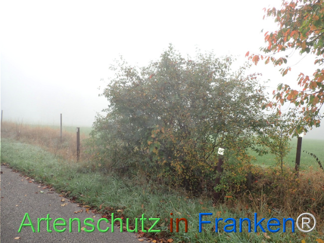 Bild zum Eintrag (1150386-160)