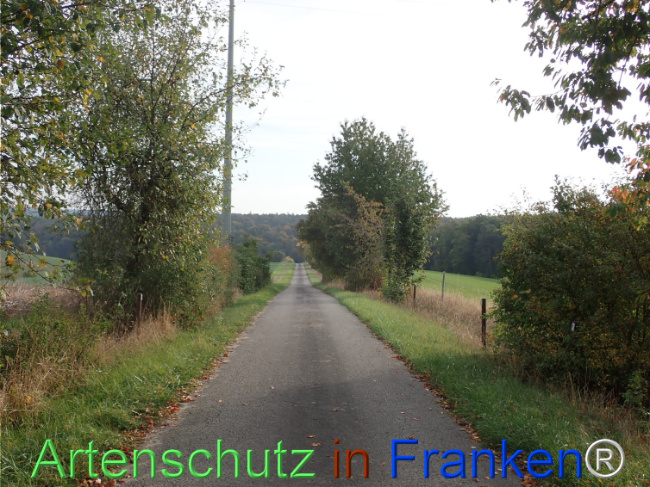 Bild zum Eintrag (1150389-160)