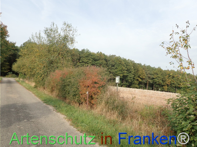 Bild zum Eintrag (1150393-160)