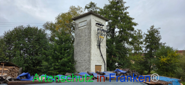 Bild zum Eintrag (1151038-160)
