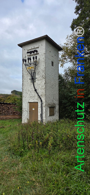 Bild zum Eintrag (1151039-160)
