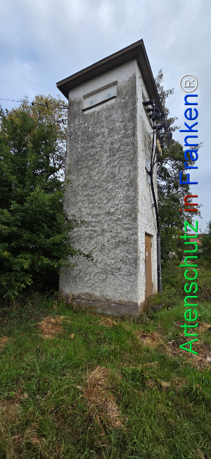 Bild zum Eintrag (1151041-160)