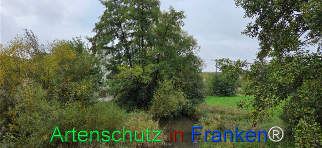 Bild zum Eintrag (1151046-160)