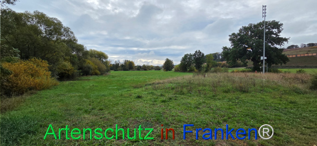 Bild zum Eintrag (1151047-160)
