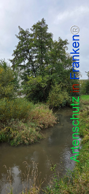 Bild zum Eintrag (1151048-160)